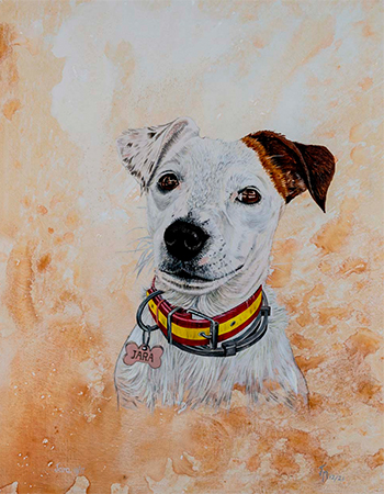 RETRATO MASCOTA
