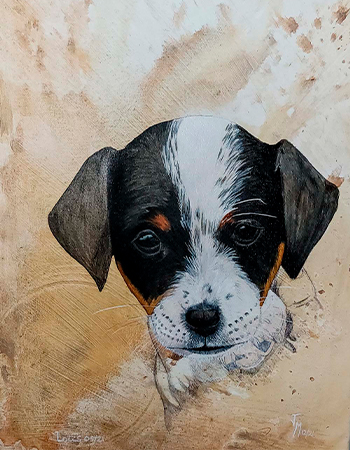 RETRATO DE TU MASCOTA