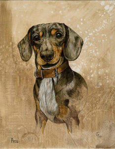 RETRATOS DE MASCOTAS