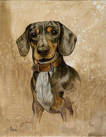 RETRATOS DE MASCOTAS