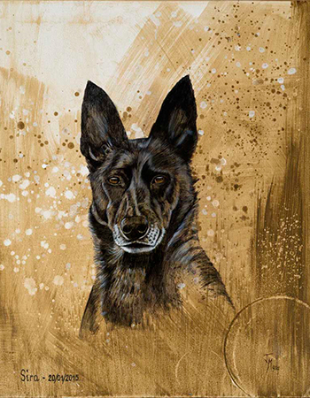 RETRATO DE MASCOTAS