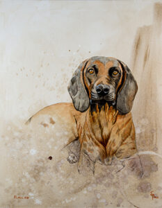 retrato mascota