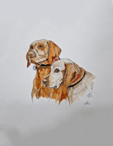 retratos mascotas