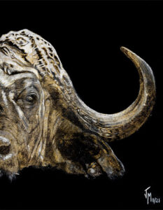 cuadro bufalo