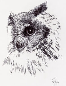 pintura animales