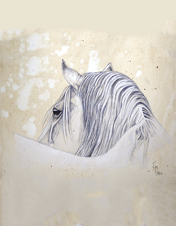 restratos caballos