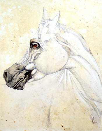 cuadros caballo
