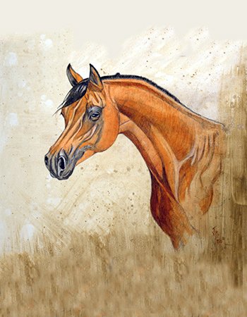 retratos de caballos personalizados