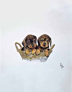 retrato cachorros
