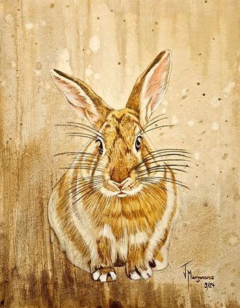cuadro conejo