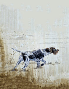 perros retratos