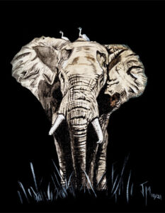 cuadro elefante