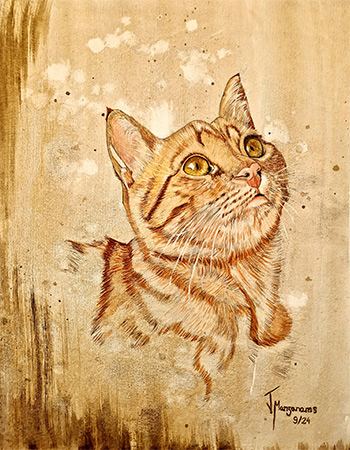 retratos gatos