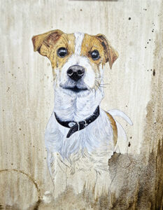 regalo retrato mascota