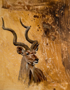 cuadros animales africa