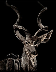 pintura kudu
