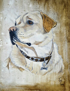 retrato mascota