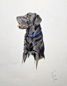 cuadros de perros