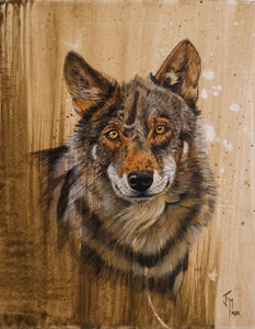 pintura lobo