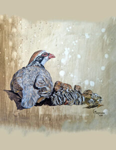 pinturas perdiz