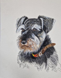 retrato mascota