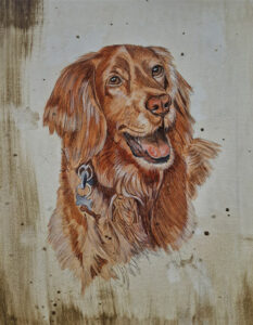 retratos de perros