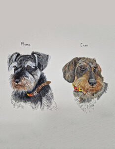 retratos de perros