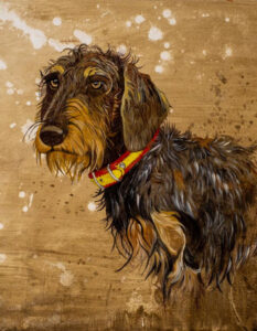 pintor perros