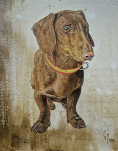 pintor de perros