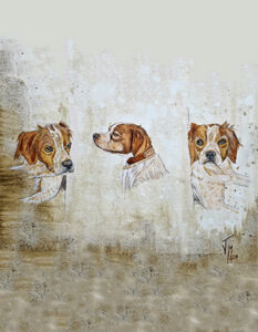 retratos de mascotas