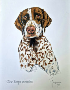 retrato perro