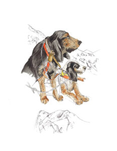perro-25-2